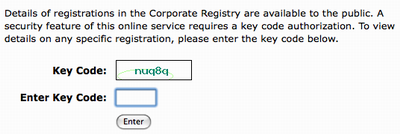 A screen shot of the PEI Government's Corporate Register CAPTCHA restriction